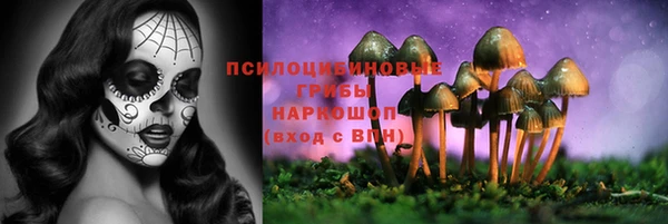 эйфоретик Алексеевка