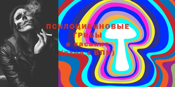 метадон Алексин