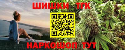 тгк Бийск