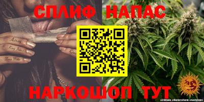 тгк Бийск