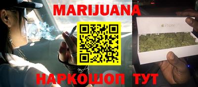 тгк Бийск