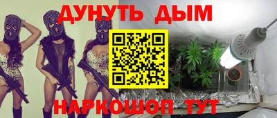 тгк Бийск