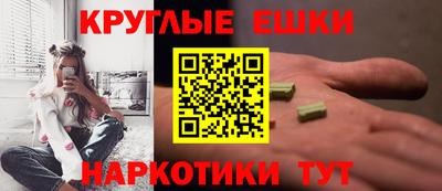 тгк Бийск