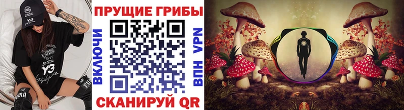 как найти закладки  Выкса  Галлюциногенные грибы Psilocybine cubensis 
