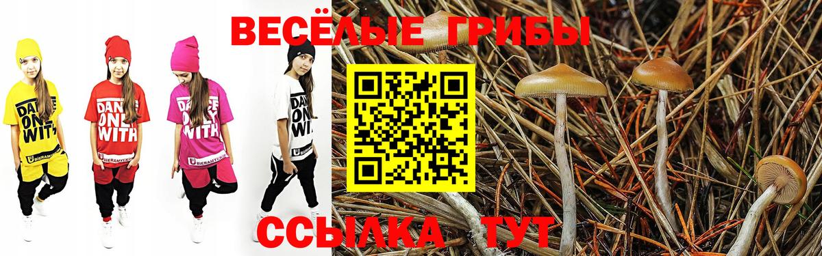 Амфетамин Выкса