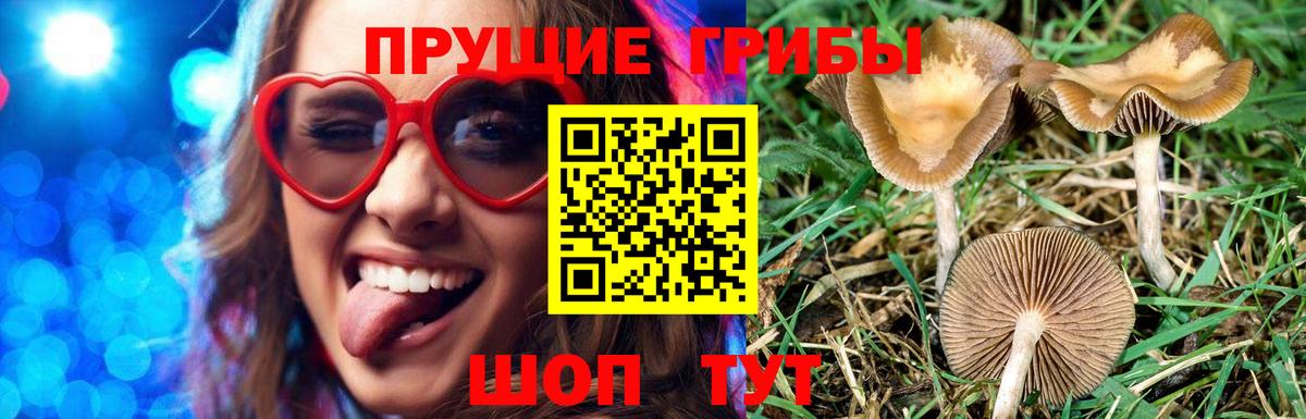 Псилоцибиновые грибы MAGIC MUSHROOMS Выкса